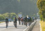 Knysna Cycle Tour