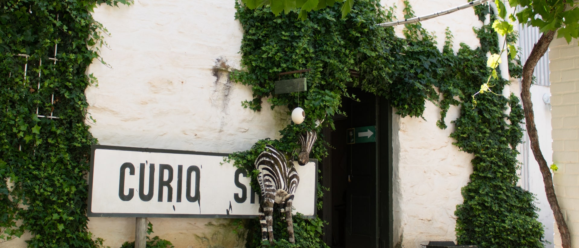 Cango Ostrich Farm