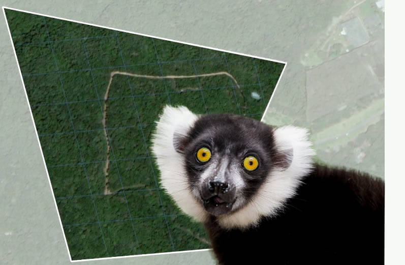 Monkeyland Crags