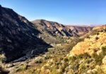 Duiwekloof Baviaans