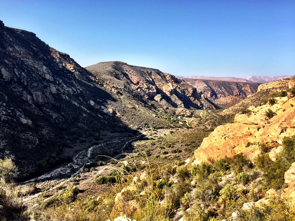 Duiwekloof Baviaans