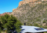 Duiwekloof Baviaans
