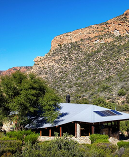 Duiwekloof Baviaans