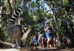 Monkeyland Crags