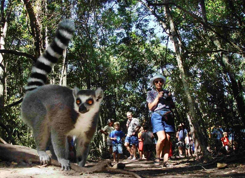 Monkeyland Crags